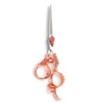 Fancy Scissor