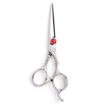 Fancy Scissor