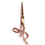 Fancy Scissor