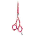 Fancy Scissor
